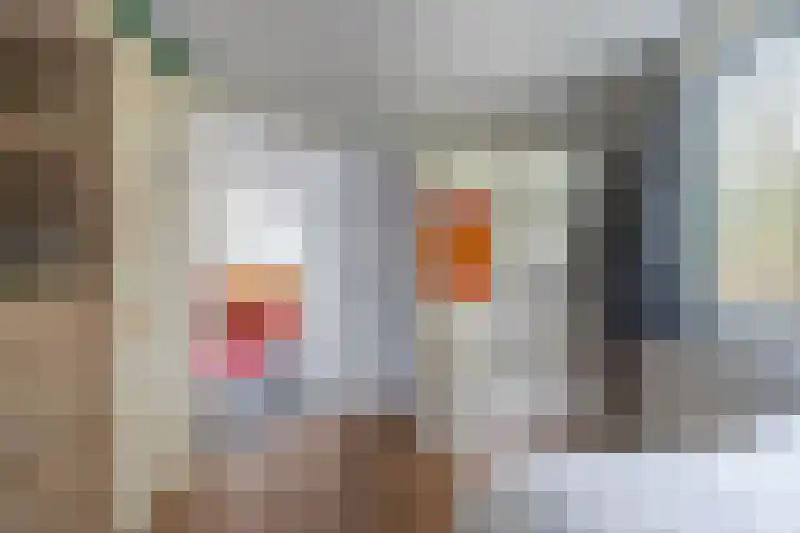 Jaagpad 26 Amsterdam thumbnail 25