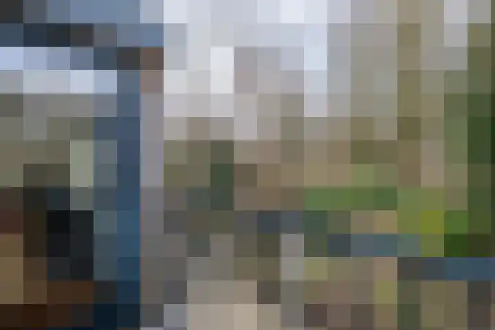 Jaagpad 26 Amsterdam thumbnail 35