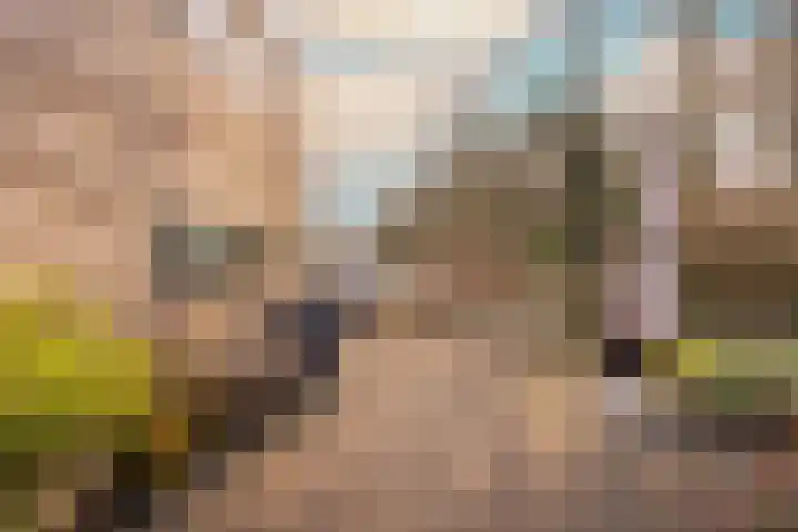 Jaagpad 26 Amsterdam thumbnail 4