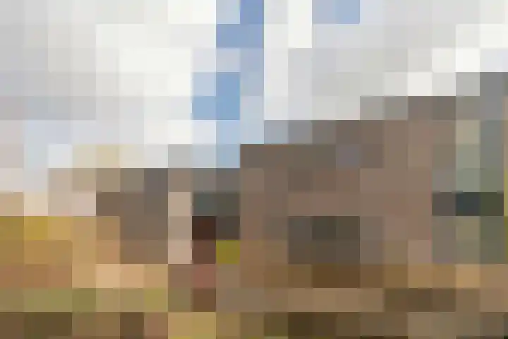 Jaagpad 26 Amsterdam thumbnail 6