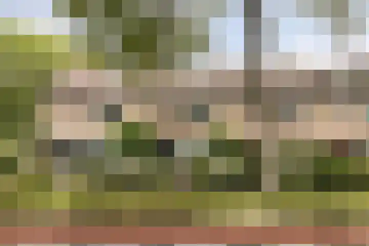 Jaagpad 44 Barendrecht