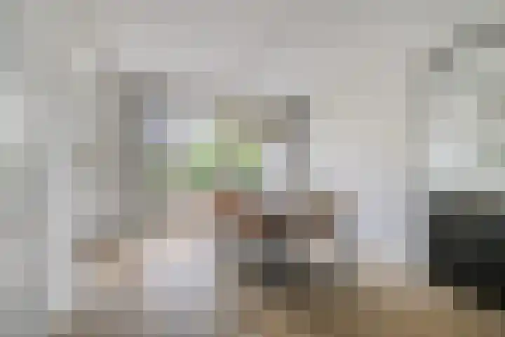 Jaagpad 44 Barendrecht thumbnail 10