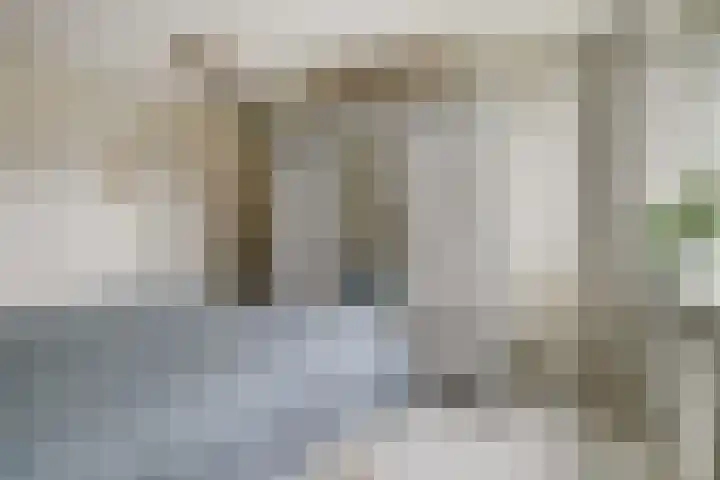 Jaagpad 44 Barendrecht thumbnail 16