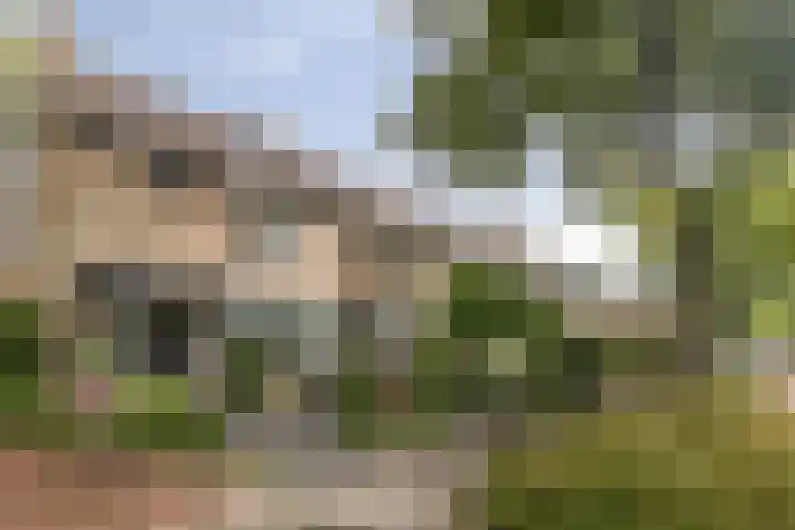 Jaagpad 44 Barendrecht thumbnail 32