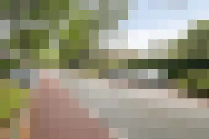 Jaagpad 44 Barendrecht thumbnail 34