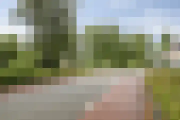 Jaagpad 44 Barendrecht thumbnail 35