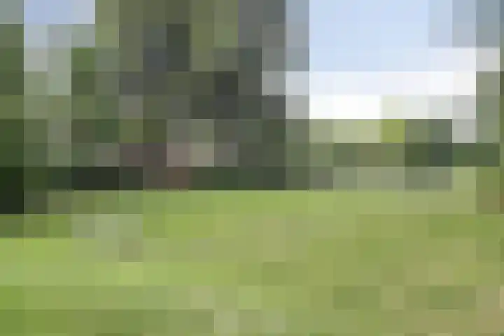 Jaagpad 44 Barendrecht thumbnail 36