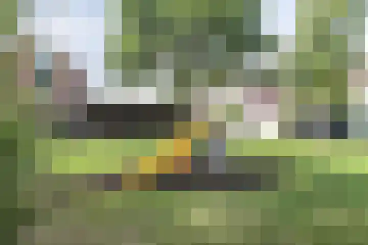 Jaagpad 44 Barendrecht thumbnail 37