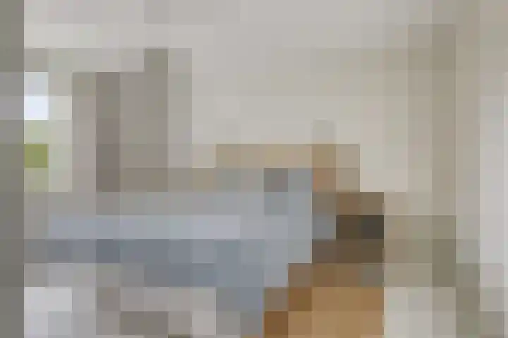 Jaagpad 44 Barendrecht thumbnail 4