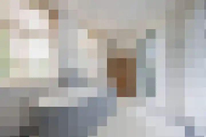 Jaagpad 49 Etten-Leur thumbnail 34