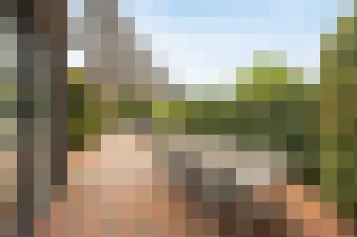 Jaagpad 49 Etten-Leur thumbnail 48