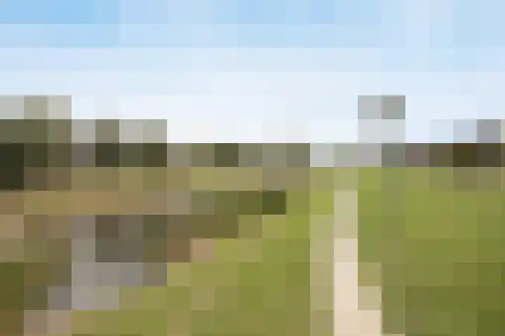 Jaagpad 49 Etten-Leur thumbnail 59
