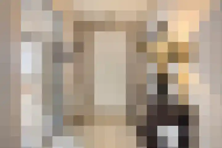 Jaagpad 51 Alkmaar thumbnail 12
