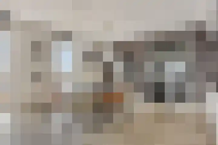 Jaagpad 51 Alkmaar thumbnail 14