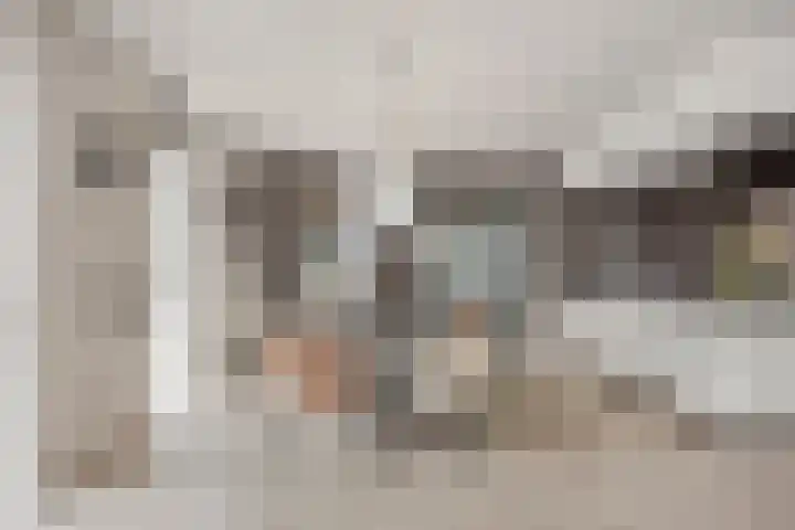 Jaagpad 51 Alkmaar thumbnail 15