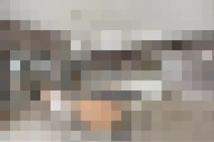 Jaagpad 51 Alkmaar thumbnail 16