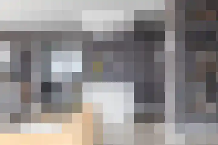 Jaagpad 51 Alkmaar thumbnail 22
