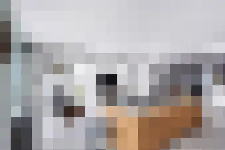 Jaagpad 51 Alkmaar thumbnail 23