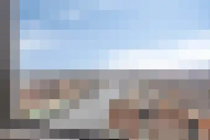 Jaagpad 51 Alkmaar thumbnail 24