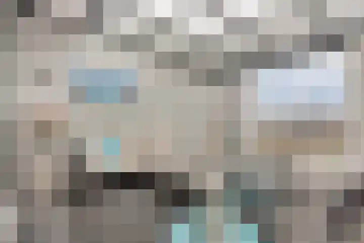 Jaagpad 51 Alkmaar thumbnail 30
