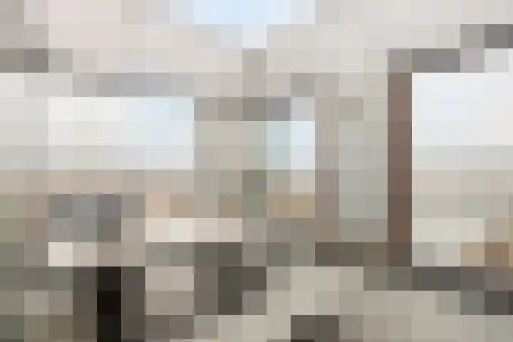 Jaagpad 51 Alkmaar thumbnail 32