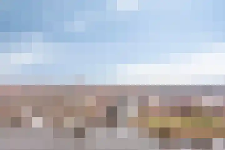 Jaagpad 51 Alkmaar thumbnail 35