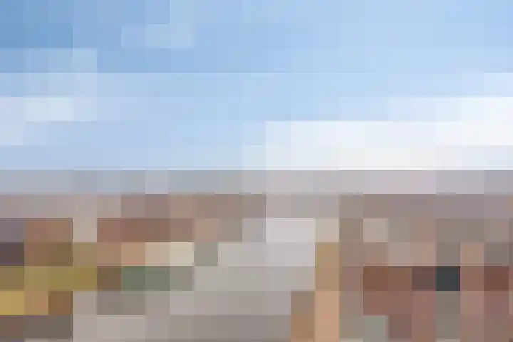 Jaagpad 51 Alkmaar thumbnail 36