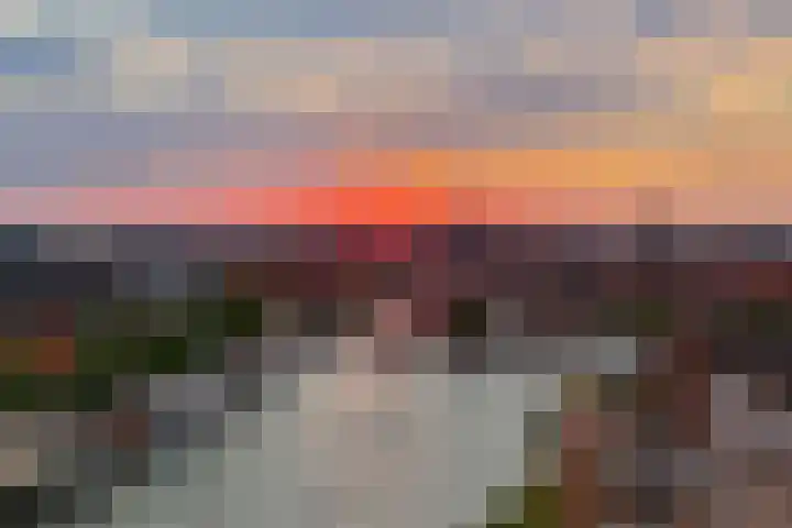 Jaagpad 51 Alkmaar thumbnail 37