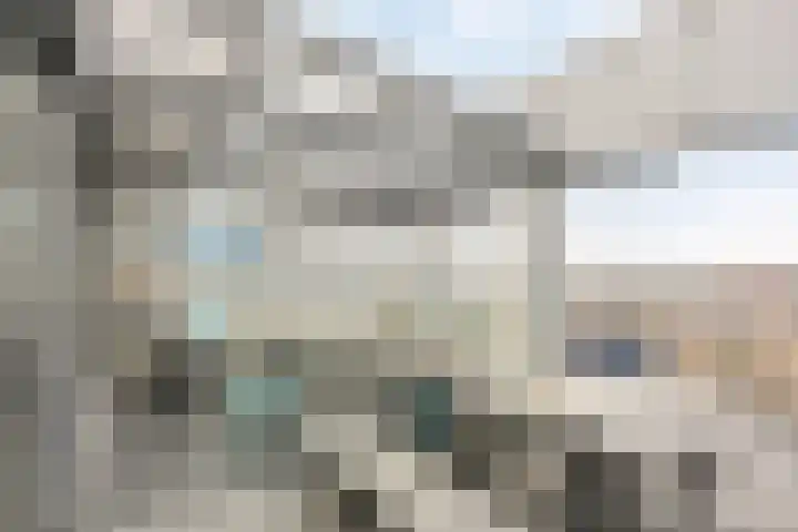 Jaagpad 51 Alkmaar thumbnail 4