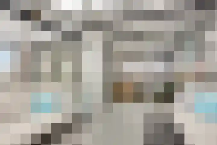 Jaagpad 51 Alkmaar thumbnail 40