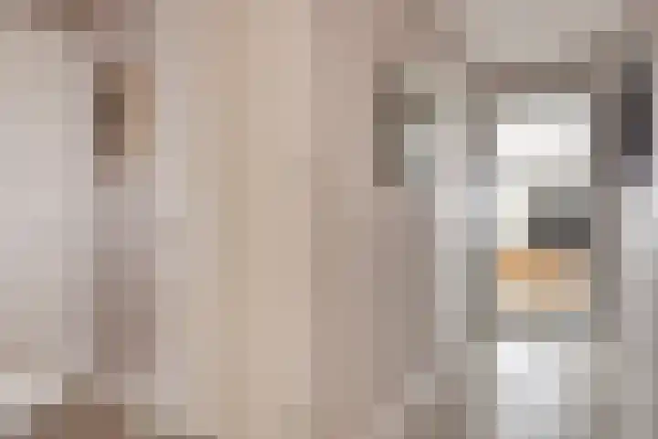 Jaagpad 51 Alkmaar thumbnail 42