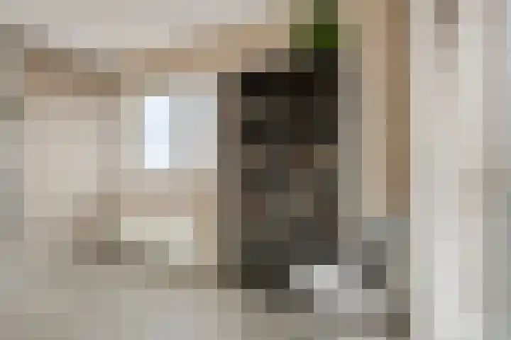 Jaagpad 51 Alkmaar thumbnail 46