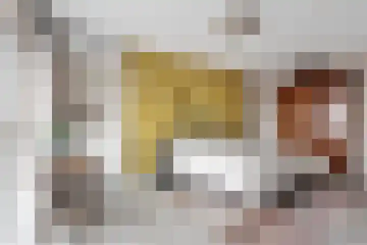 Jaagpad 51 Alkmaar thumbnail 48