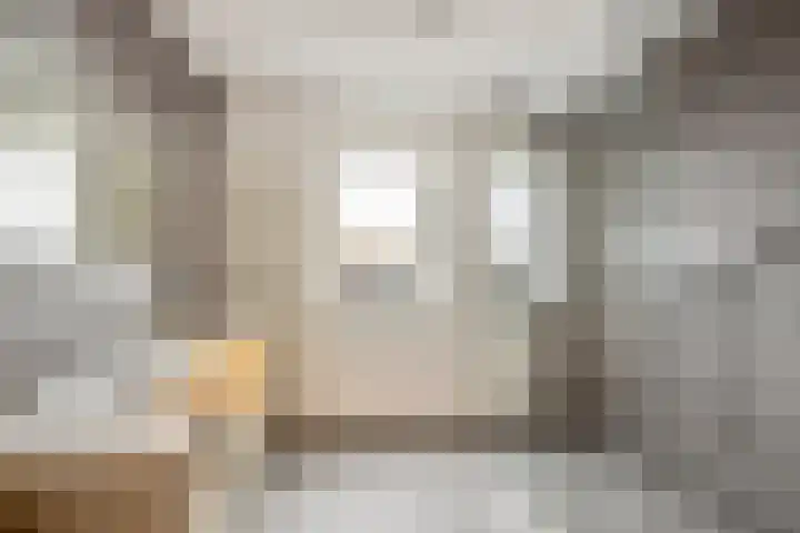 Jaagpad 51 Alkmaar thumbnail 49