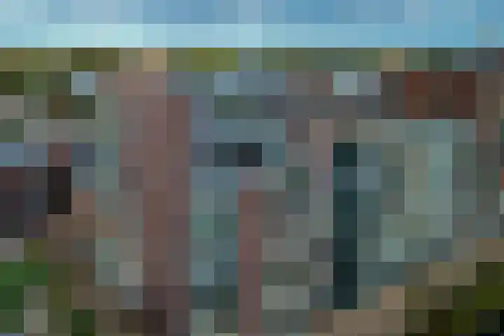 Jaagpad 51 Alkmaar thumbnail 5