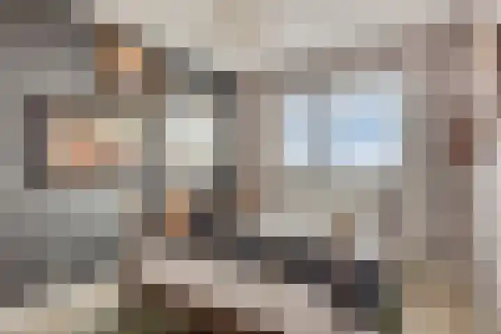 Jaagpad 51 Alkmaar thumbnail 53