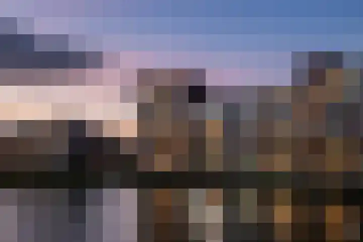 Jaagpad 51 Alkmaar thumbnail 6