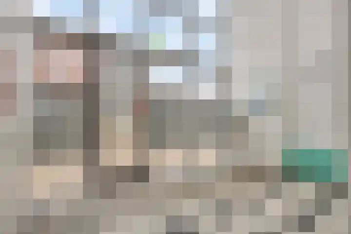 Jaagpad 51 Alkmaar thumbnail 61