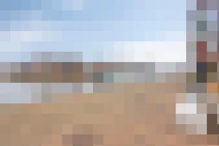 Jaagpad 51 Alkmaar thumbnail 65