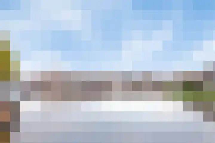 Jaagpad 51 Alkmaar thumbnail 66