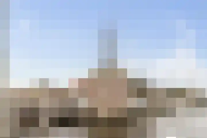 Jaagpad 51 Alkmaar thumbnail 67
