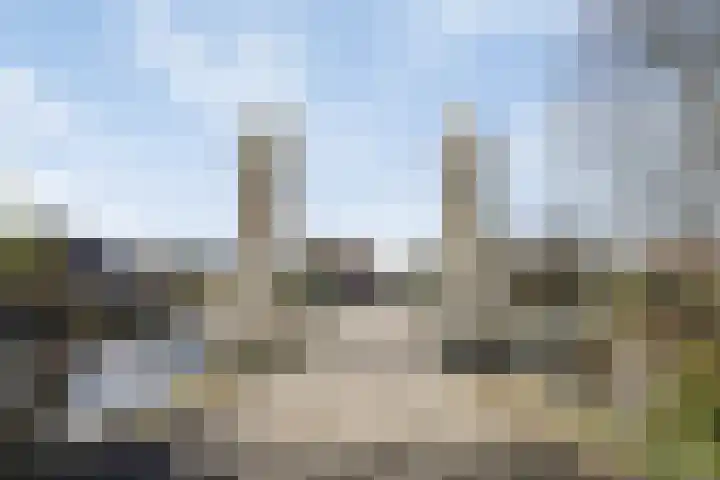 Jaagpad 51 Alkmaar thumbnail 69