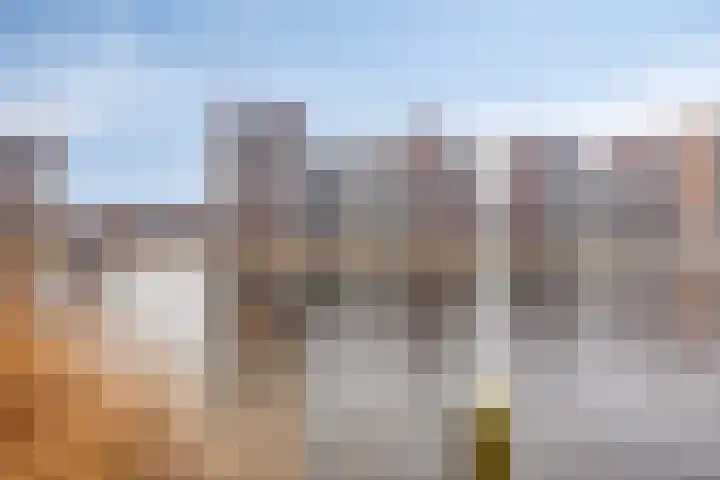 Jaagpad 51 Alkmaar thumbnail 7
