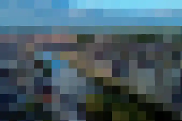 Jaagpad 51 Alkmaar thumbnail 73