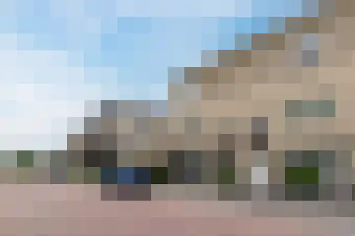 Jaagvelden 30 Best thumbnail 27