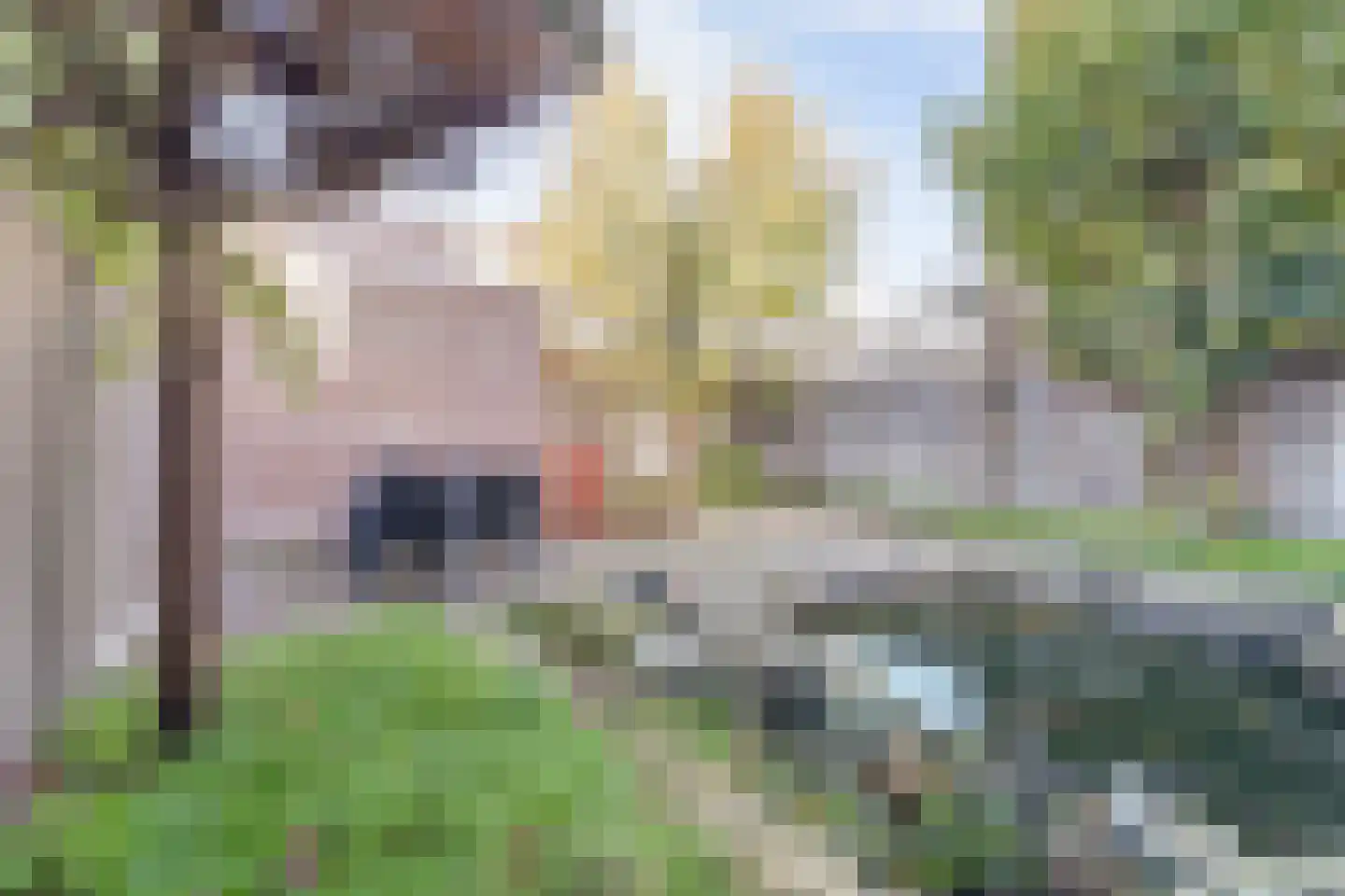 Jaagvelden 56 Best thumbnail 32