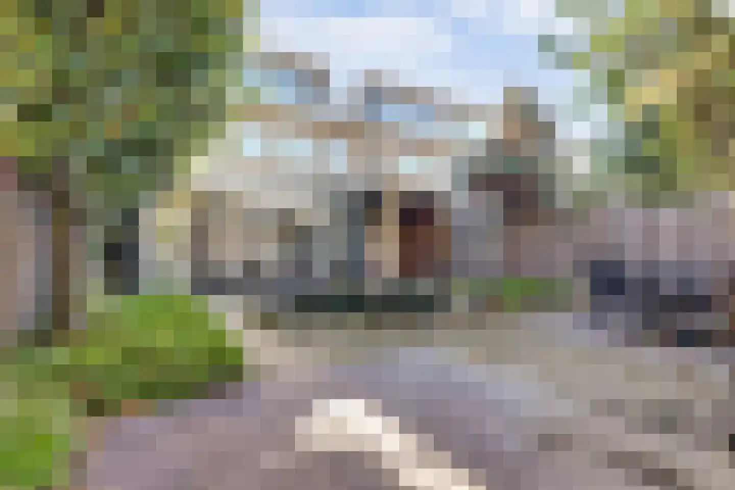 Jaagvelden 56 Best thumbnail 34