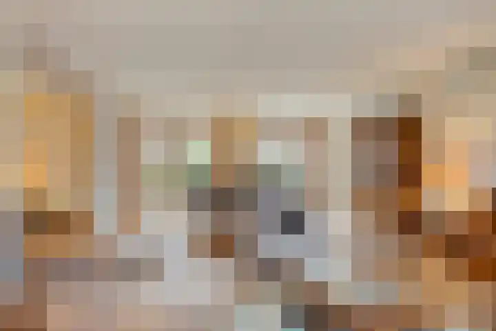Jaagvelden 84 Best thumbnail 12
