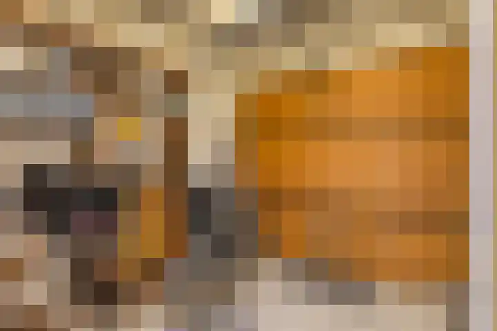 Jaagvelden 84 Best thumbnail 19