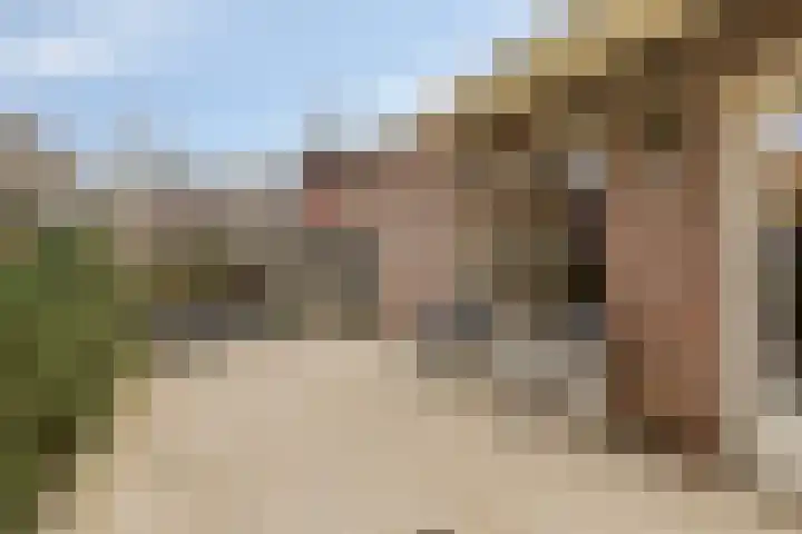 Jaagvelden 84 Best thumbnail 21